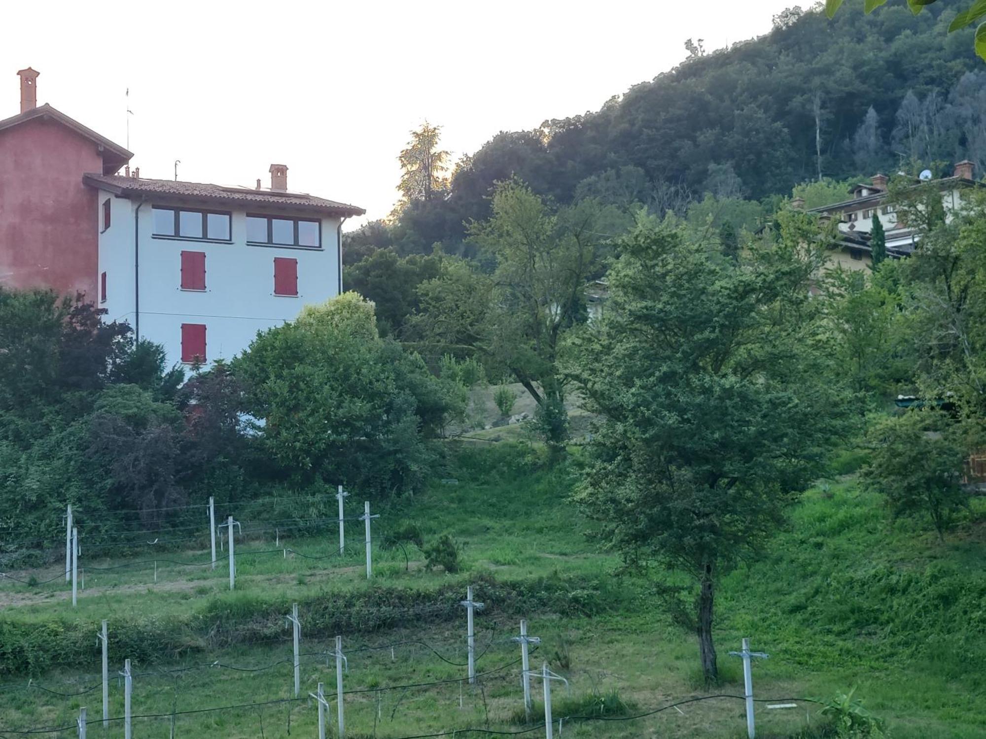 Aminta Apartment Bergamo Eksteriør billede